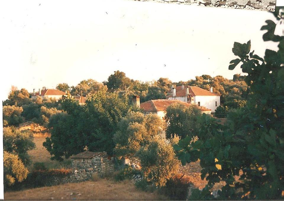 Milas Hüsamlar Köyü Resimleri 7