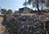 Milas İkizköy Resimleri 1