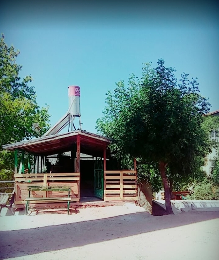 Milas Kalınağıl Köyü Resimleri 1