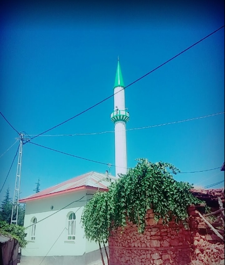 Milas Kalınağıl Köyü Resimleri 2