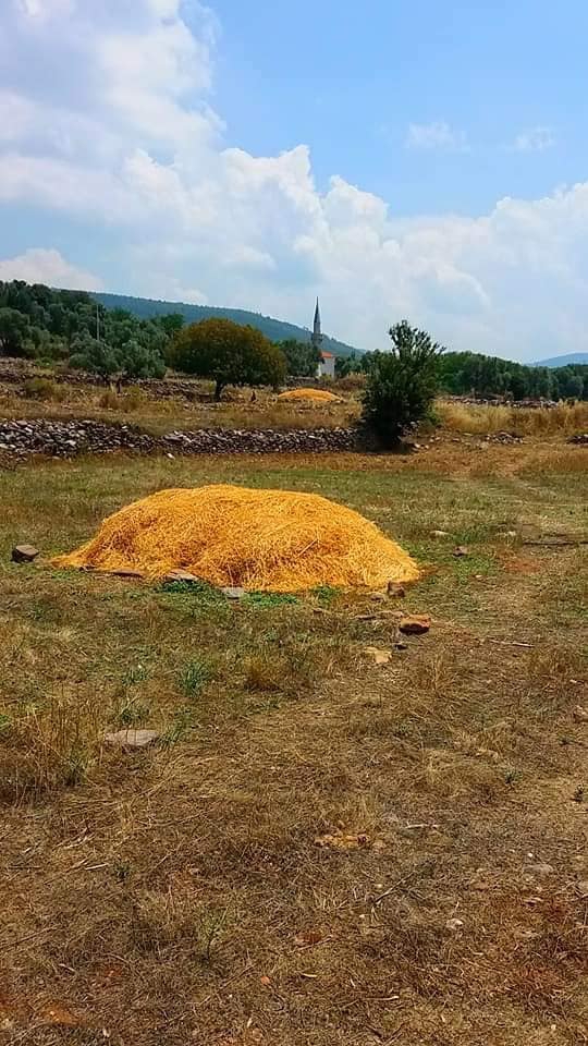 Milas Kalınağıl Köyü Resimleri 5