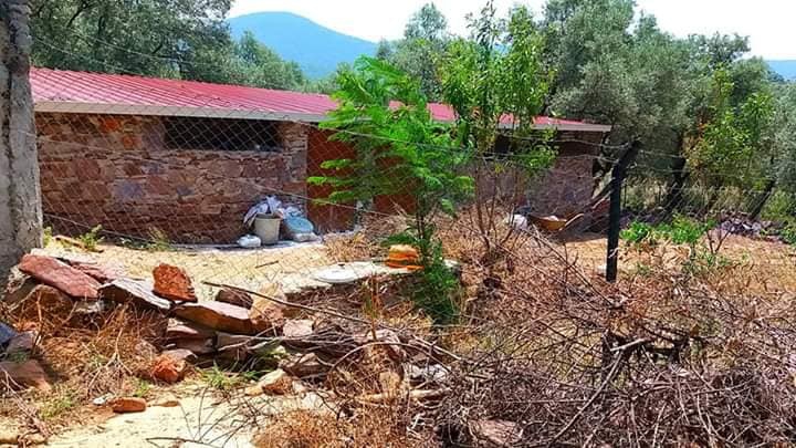 Milas Kalınağıl Köyü Resimleri 6