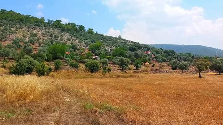 Milas Kalınağıl Köyü Resimleri 8