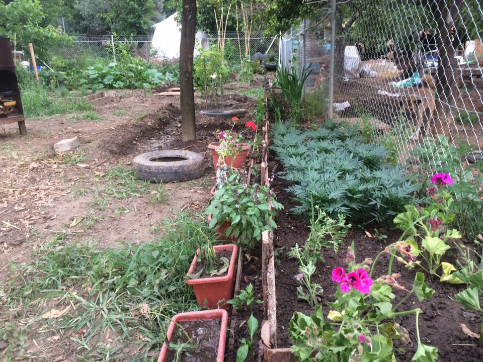 Milas Kandak Köyü Resimleri 6