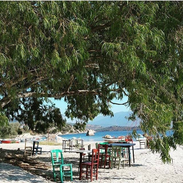 Milas Kapıkırı Köyü Resimleri 4