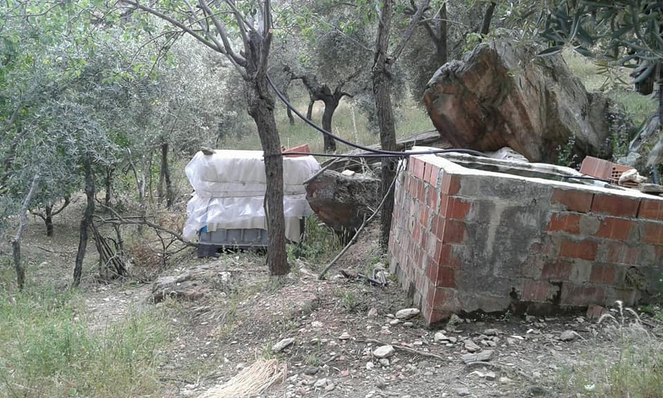 Milas Kapıkırı Köyü Resimleri 8