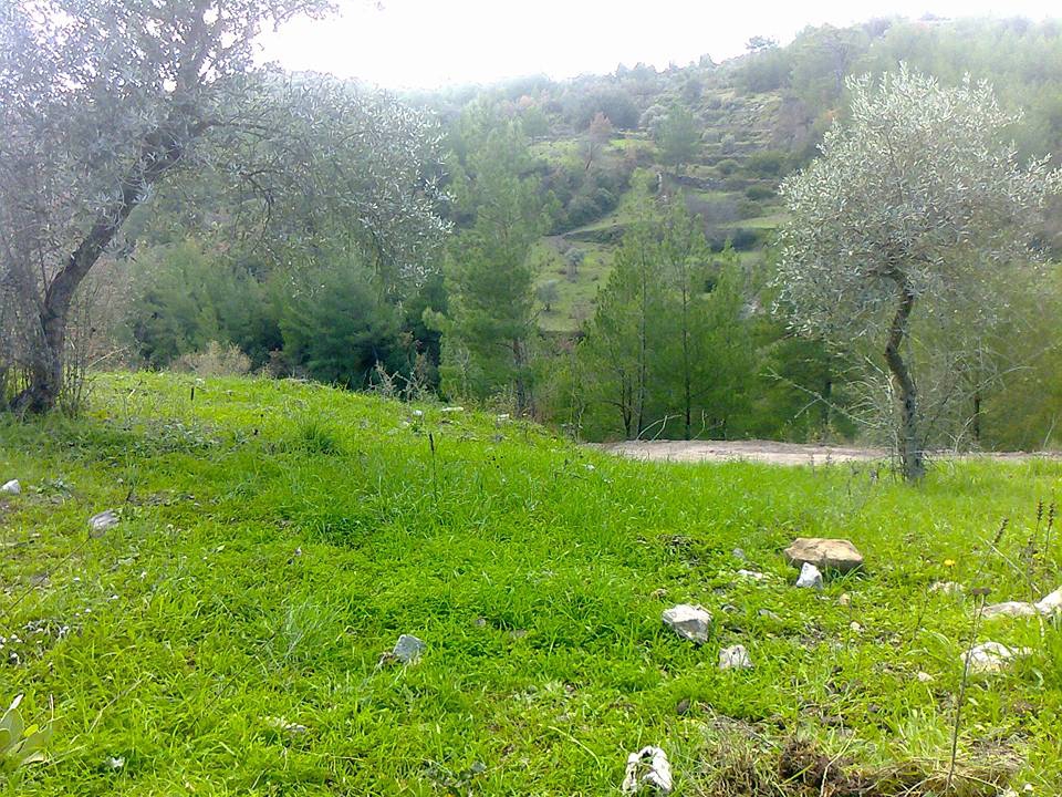 Milas Karacahisar Köyü Resimleri 6