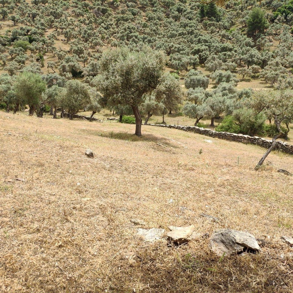 Milas Karahayıt Köyü Resimleri 5