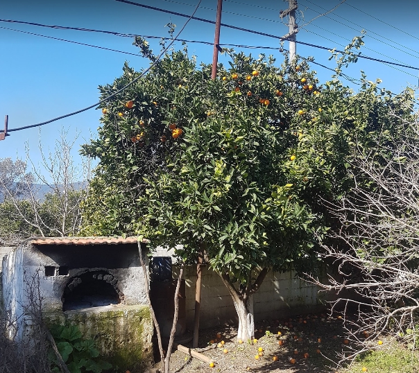 Milas Karakuyu Köyü Resimleri 8