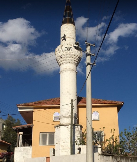 Milas Karapınar Köyü Resimleri 2