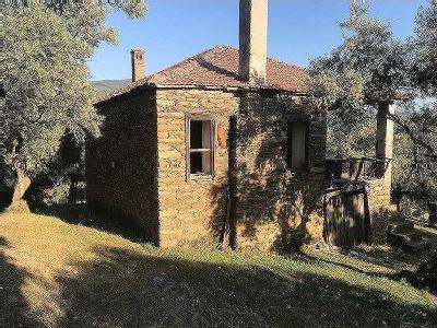 Milas Kargıcak Köyü Resimleri 4