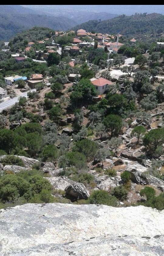 Milas Kayabükü  Köyü Resimleri 10