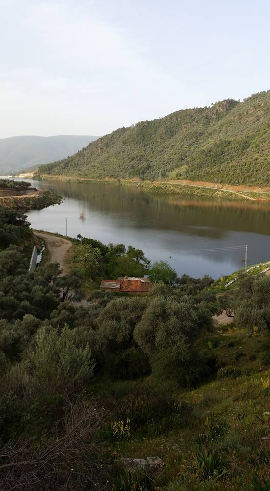 Milas Kayabükü  Köyü Resimleri 13