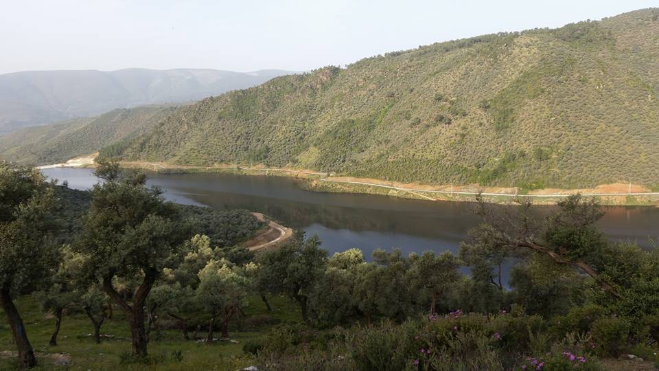 Milas Kayabükü  Köyü Resimleri 14