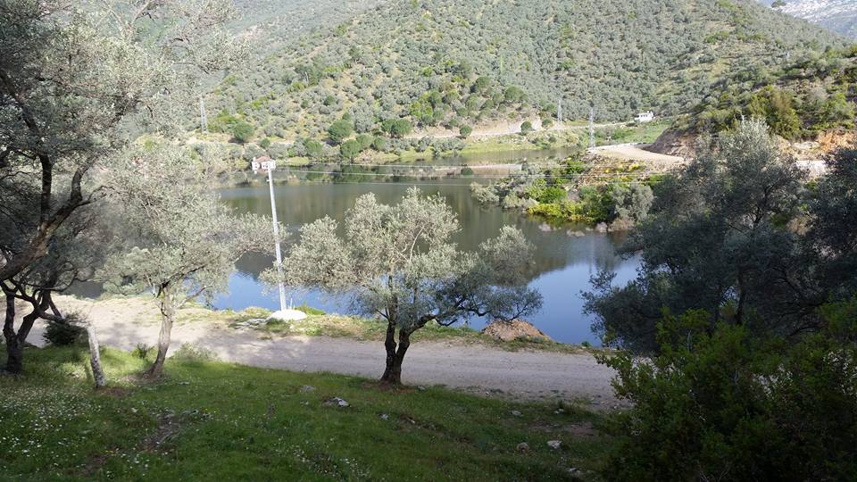 Milas Kayabükü  Köyü Resimleri 15