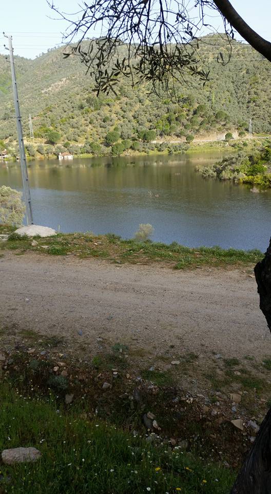 Milas Kayabükü  Köyü Resimleri 16