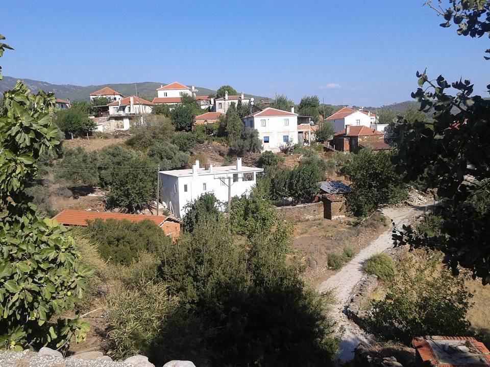 Milas Kayabükü  Köyü Resimleri 7