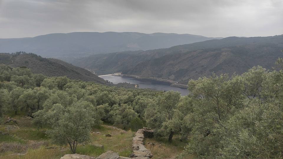 Milas Kayabükü  Köyü Resimleri 8