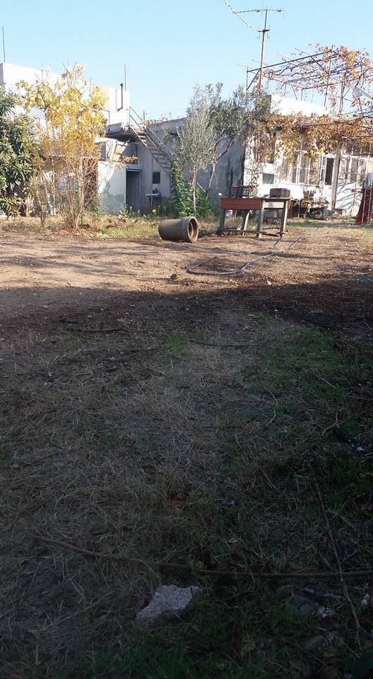 Adana Yüreğir Ağzıbüyük Köyü Resimleri 2