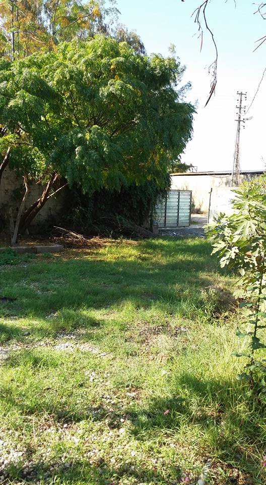 Adana Yüreğir Ağzıbüyük Köyü Resimleri 9