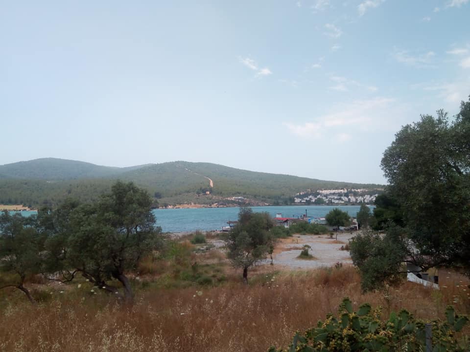 Milas Kazıklı Köyü Resimleri 4