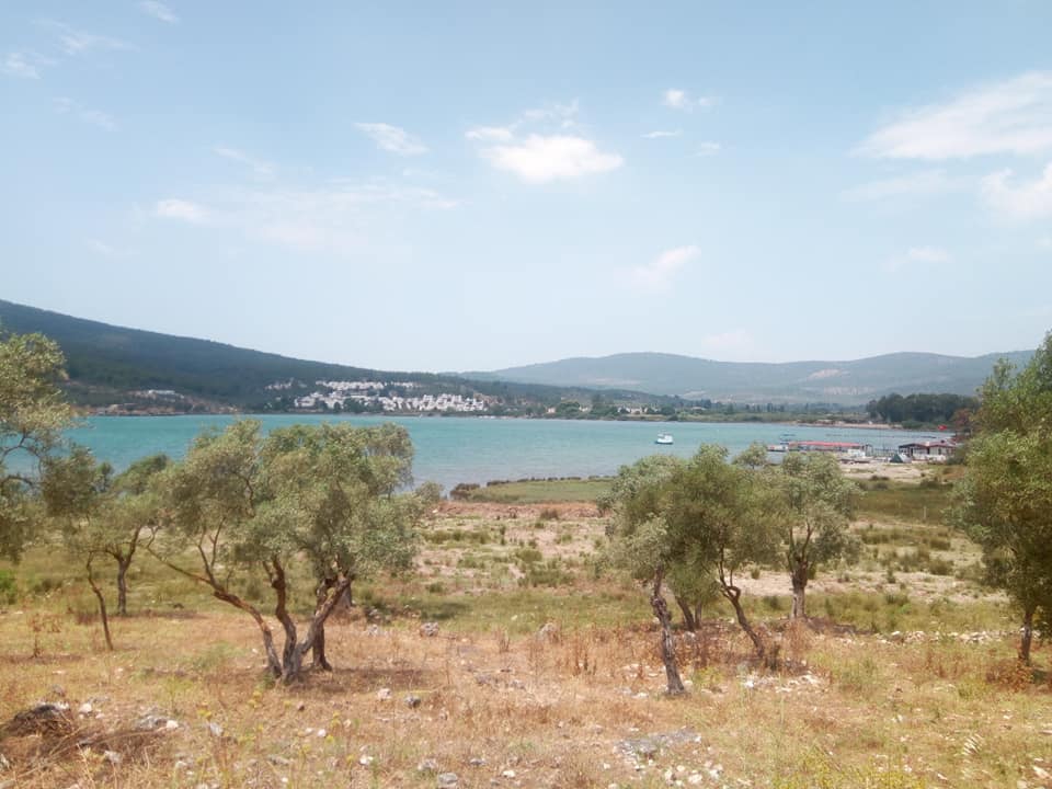 Milas Kazıklı Köyü Resimleri 6