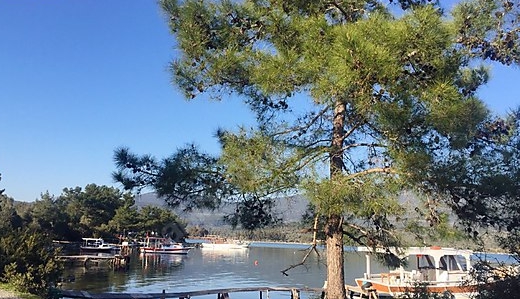 Milas Kazıklı Köyü Resimleri 7