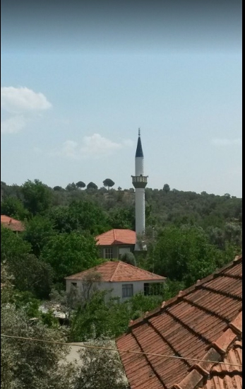 Milas Kılavuz Köyü Resimleri 1