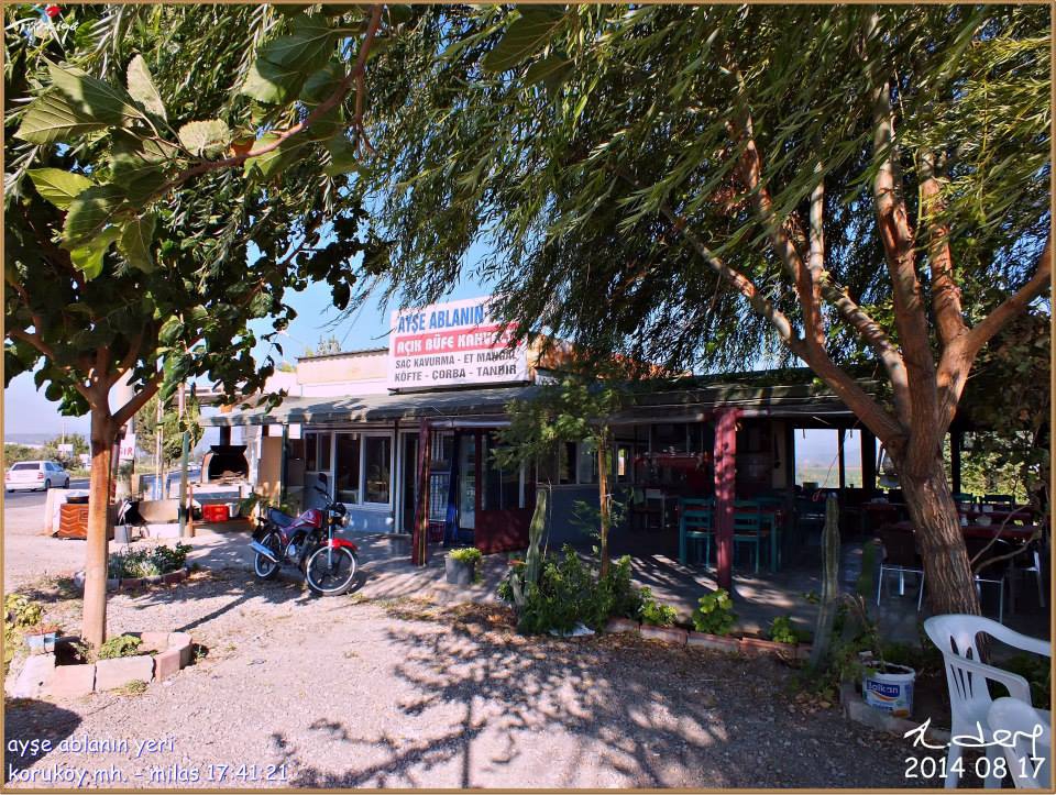 Milas Koruköy Resimleri 1