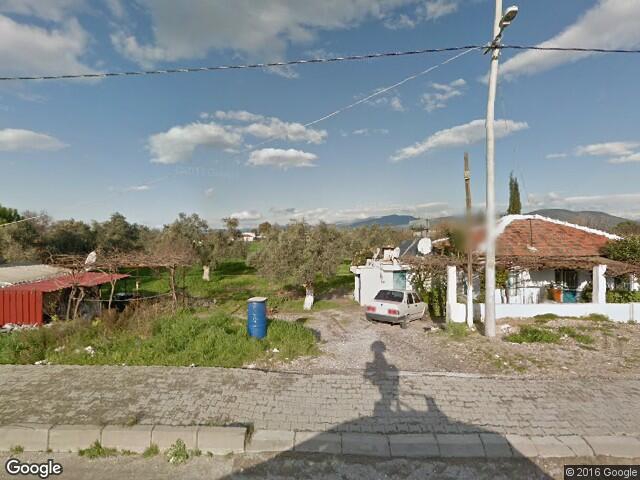 Milas Koruköy Resimleri 6