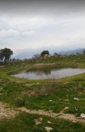 Milas Kuzyaka Köyü Resimleri 4