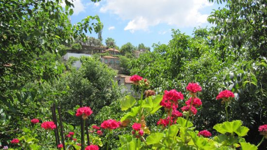 Milas Narhisar Köyü Resimleri 2