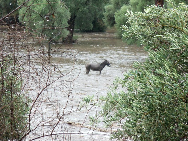 Milas Narhisar Köyü Resimleri 4