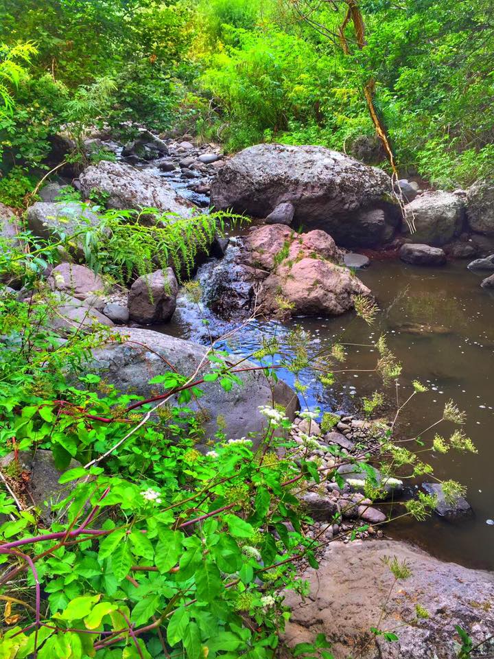 Havza Ağdırhasan Köyü Resimleri 1