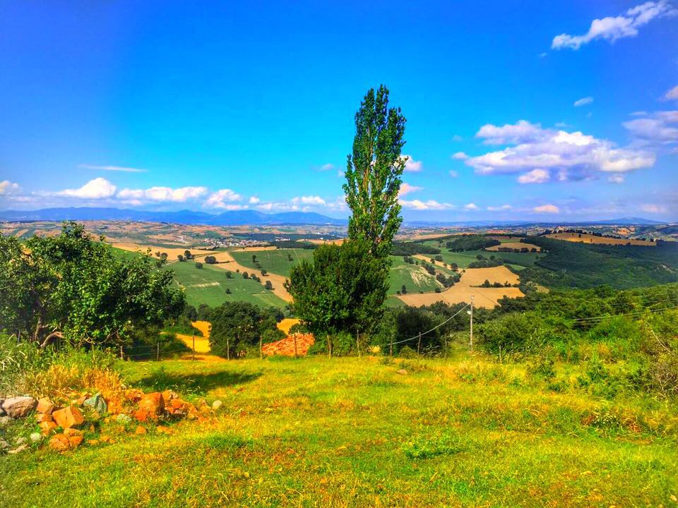 Havza Ağdırhasan Köyü Resimleri 7