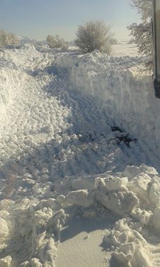 Havza Aşağısusuz Köyü Resimleri 3