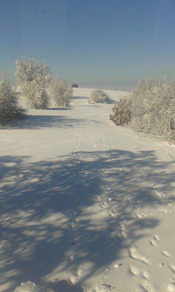 Havza Aşağısusuz Köyü Resimleri 4