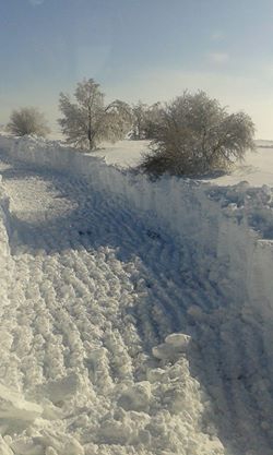 Havza Aşağısusuz Köyü Resimleri 5