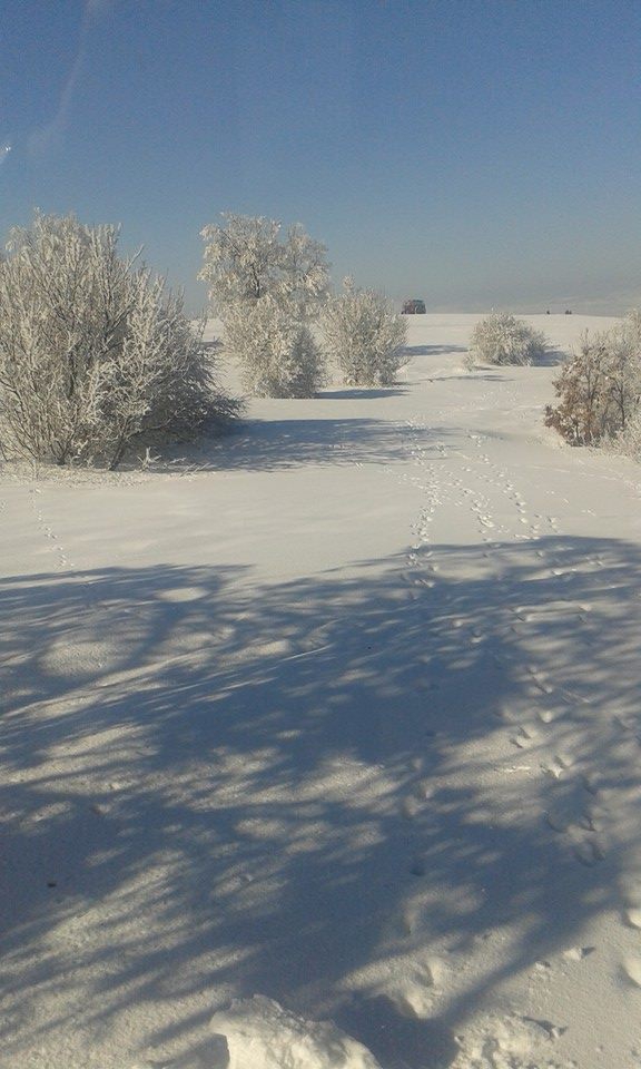 Havza Aşağısusuz Köyü Resimleri 6