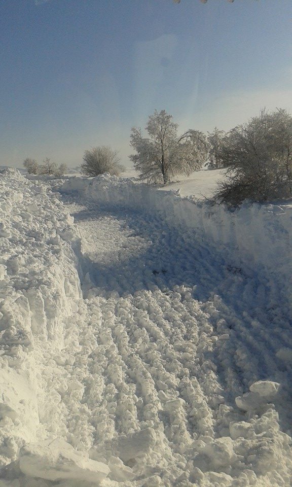 Havza Aşağısusuz Köyü Resimleri 7