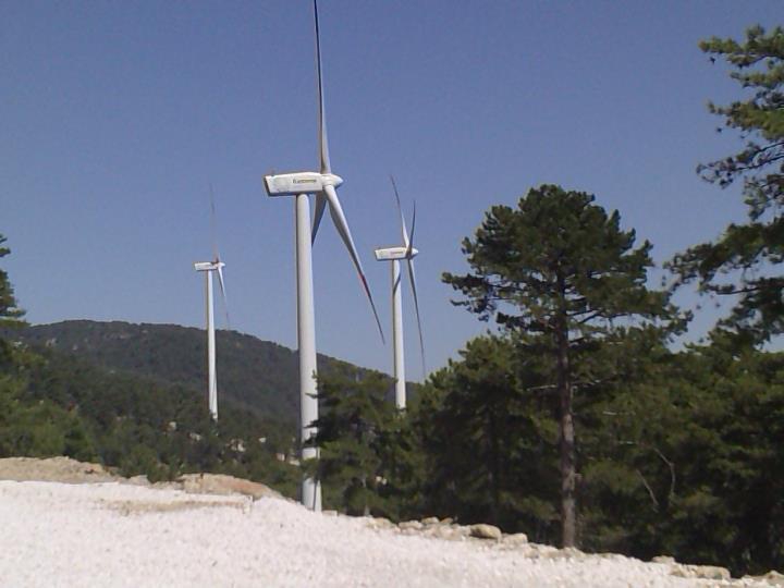 Milas Sarıkaya Köyü Resimleri 1