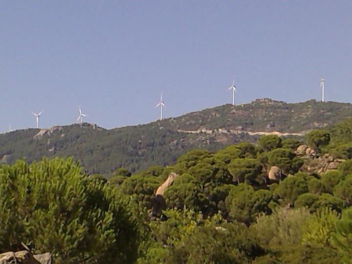 Milas Sarıkaya Köyü Resimleri 2