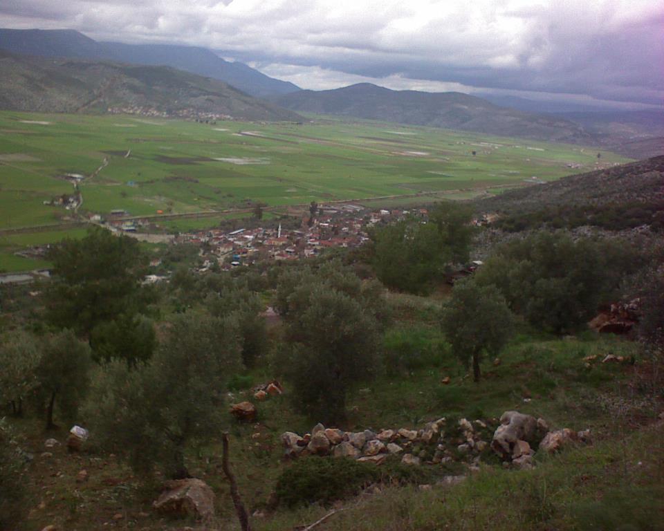 Milas Savran Köyü Resimleri 10