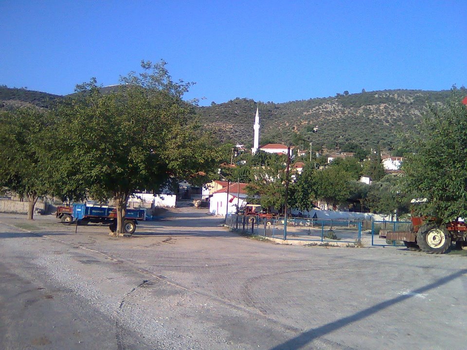 Milas Savran Köyü Resimleri 12