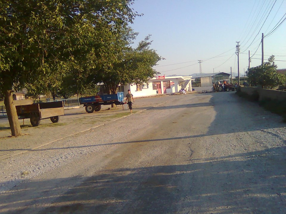 Milas Savran Köyü Resimleri 5