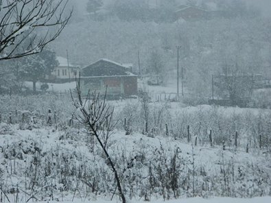 Hendek Aktefek Köyü Resimleri 1
