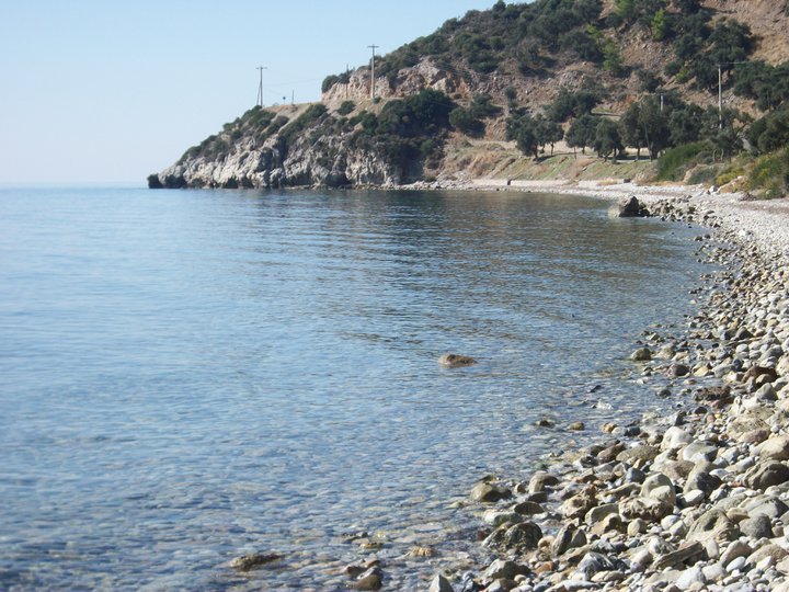 Milas Türkevleri Köyü Resimleri 1