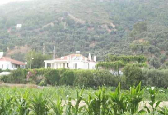 Milas Türkevleri Köyü Resimleri 8