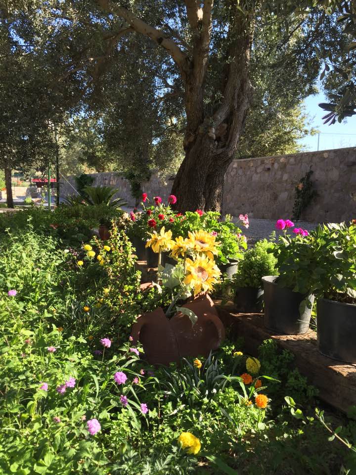 Milas Yakaköy Köyü Resimleri 1