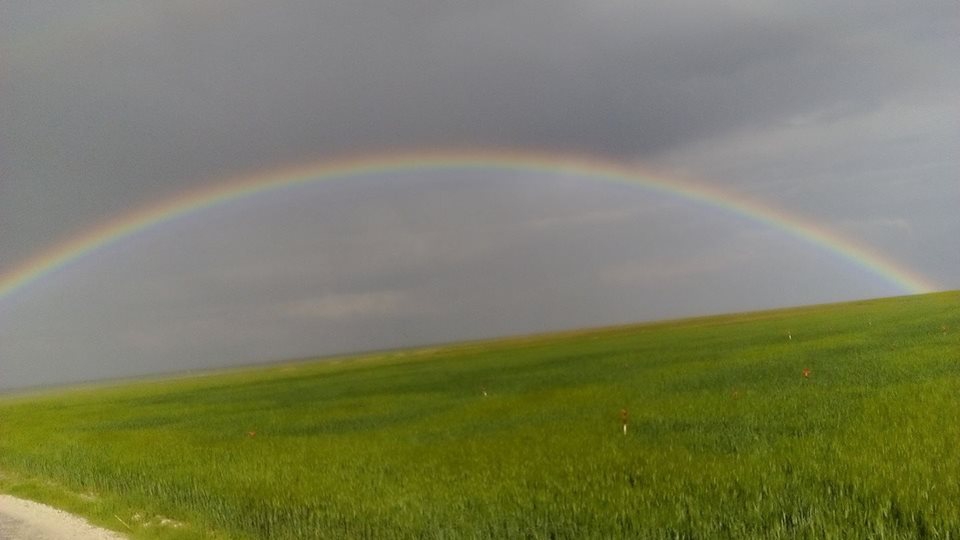 Altınekin Akıncılar Köyü Resimleri 2